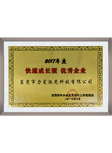 快速成长企业